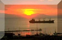 Aramarine Programs for the Ocean Marine Insurance